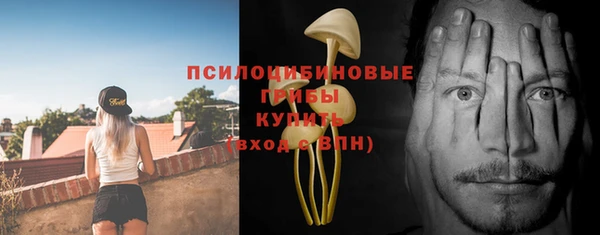 соль ск Вязьма