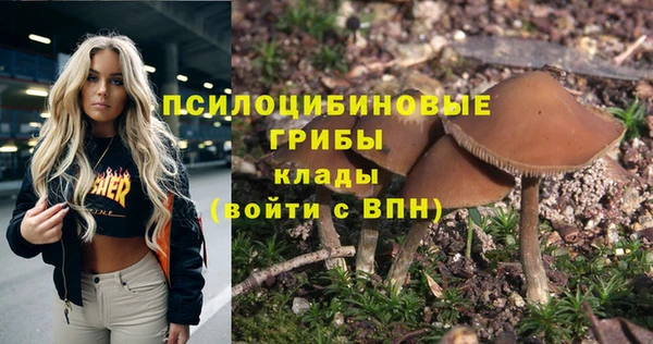 гидра Сясьстрой